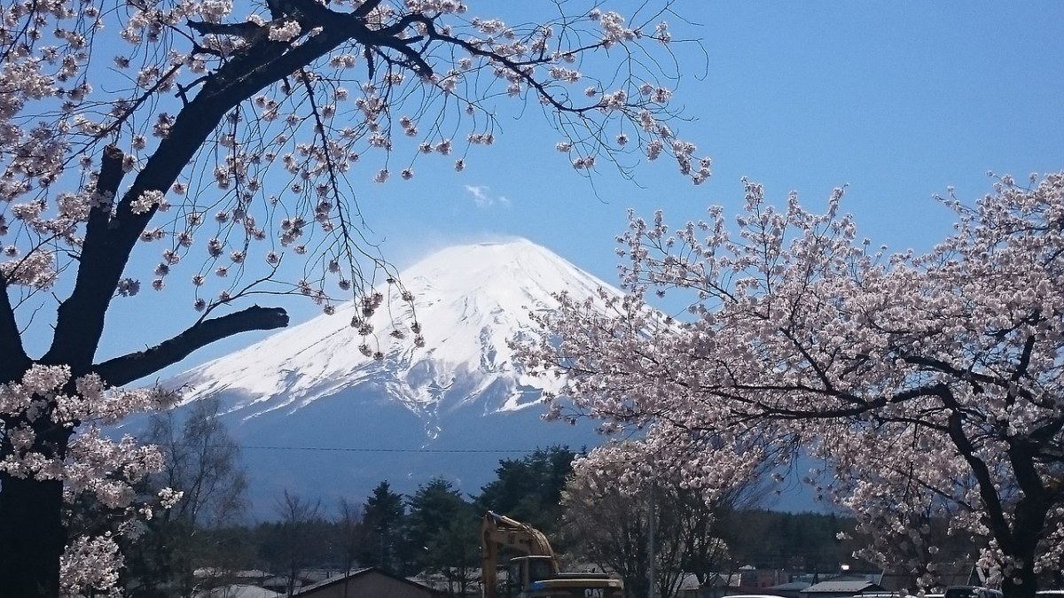 日本樱花与富士山上春残雪春景免费图片