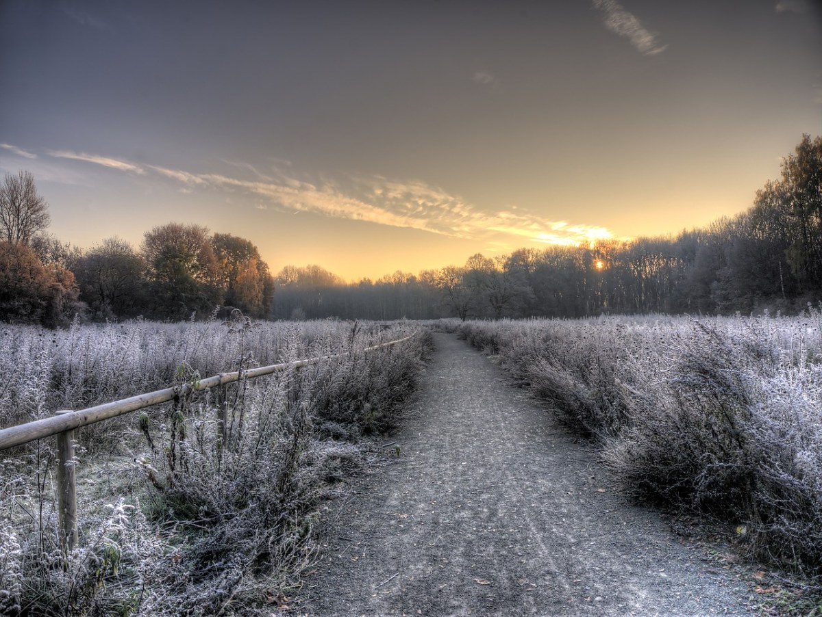 景观、冬天、自然免费图片
