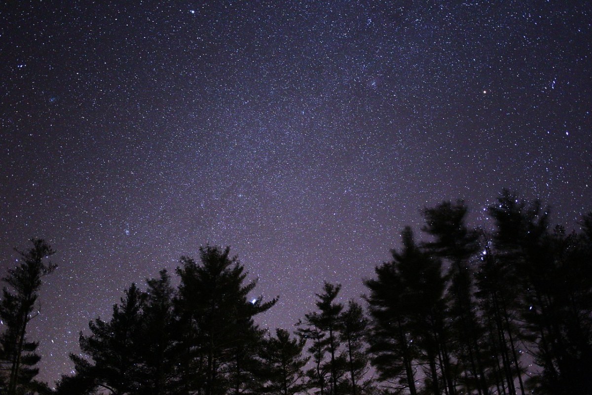 黑暗、自然、夜免费图片