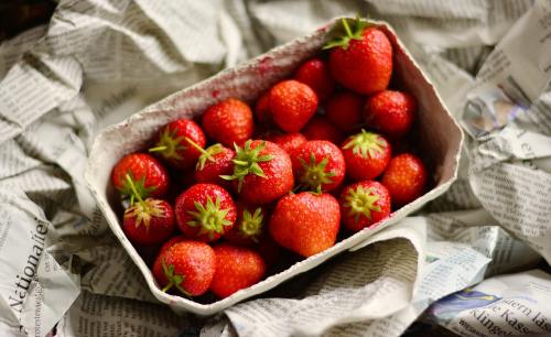 草莓、水果、纸板