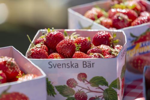 草莓、夏天、瑞典的浆果