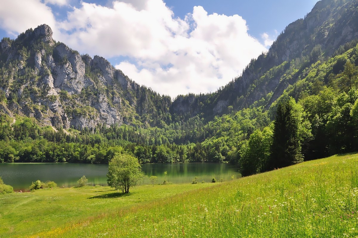 湖岸的草地与悬崖自然风景免费图片