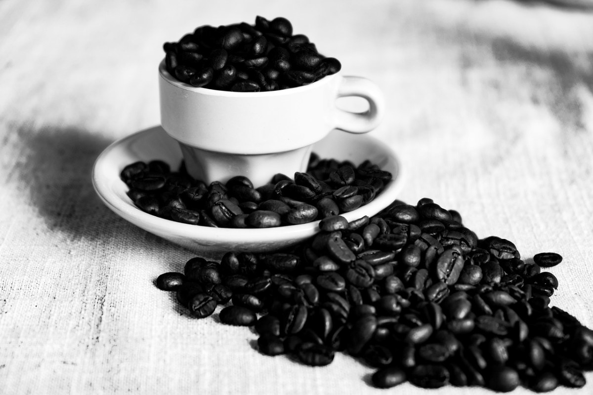 咖啡、豆类、阿拉比卡免费图片