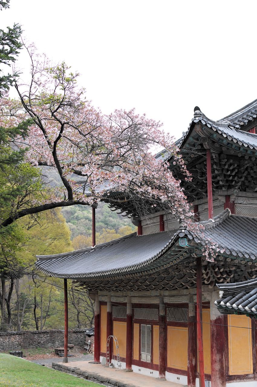 韩国,寺庙,节