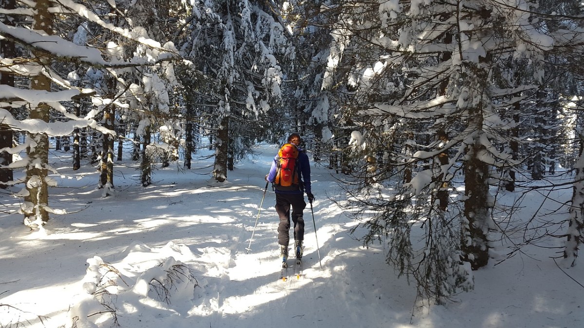 穷乡僻壤Skiiing、黑色的森林、滑雪免费图片
