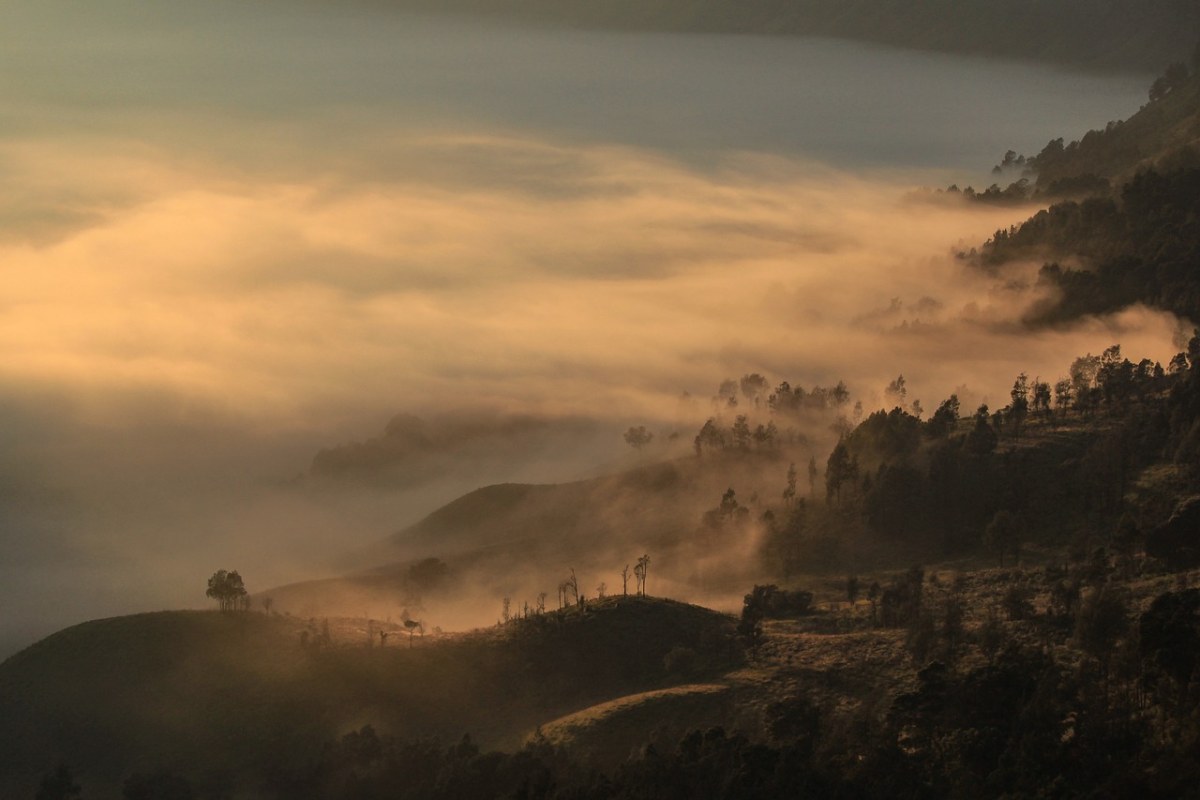 上午、日出、雾免费图片