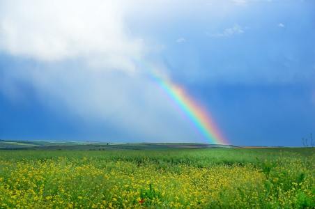 田园的彩虹风景图片