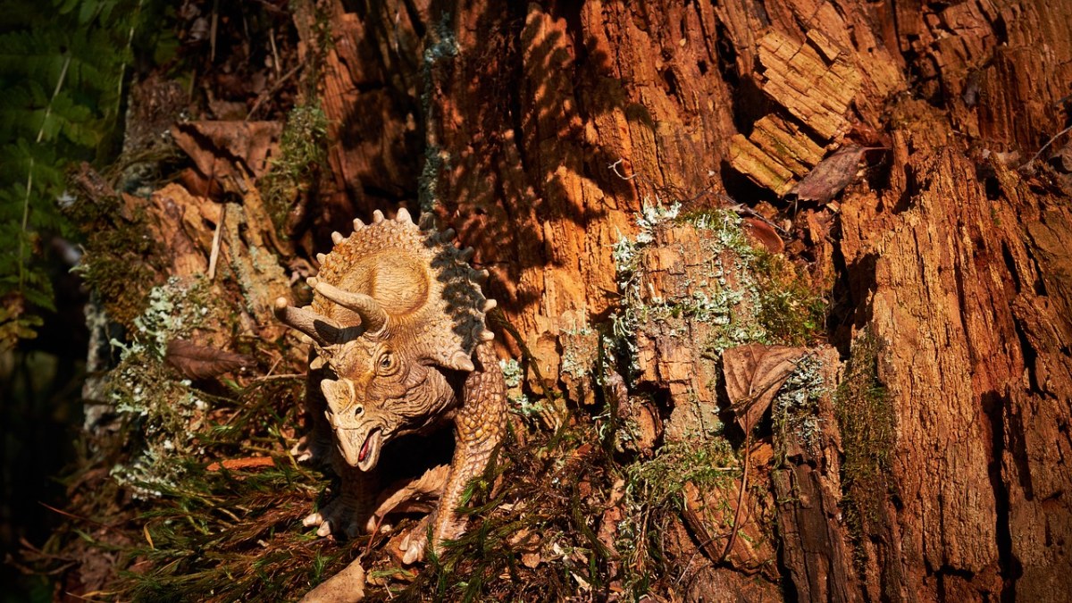 有恐龙的远古森林照片图片