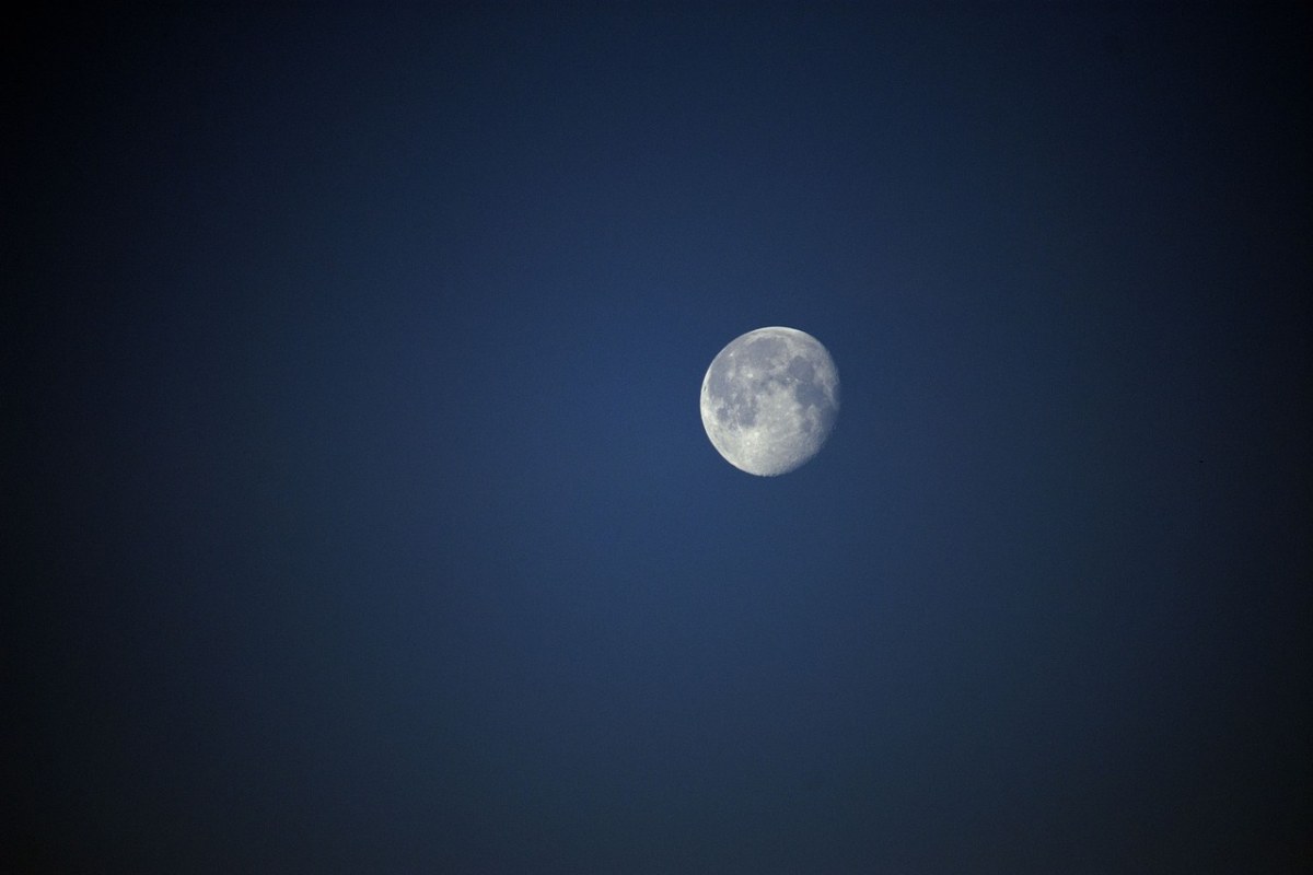 月亮、行星、夜免费图片