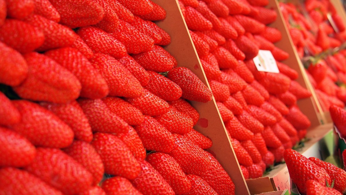 草莓、市场、开放的市场免费图片