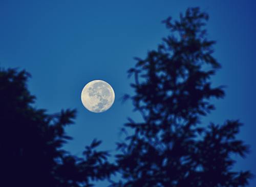 月亮、夜、天空