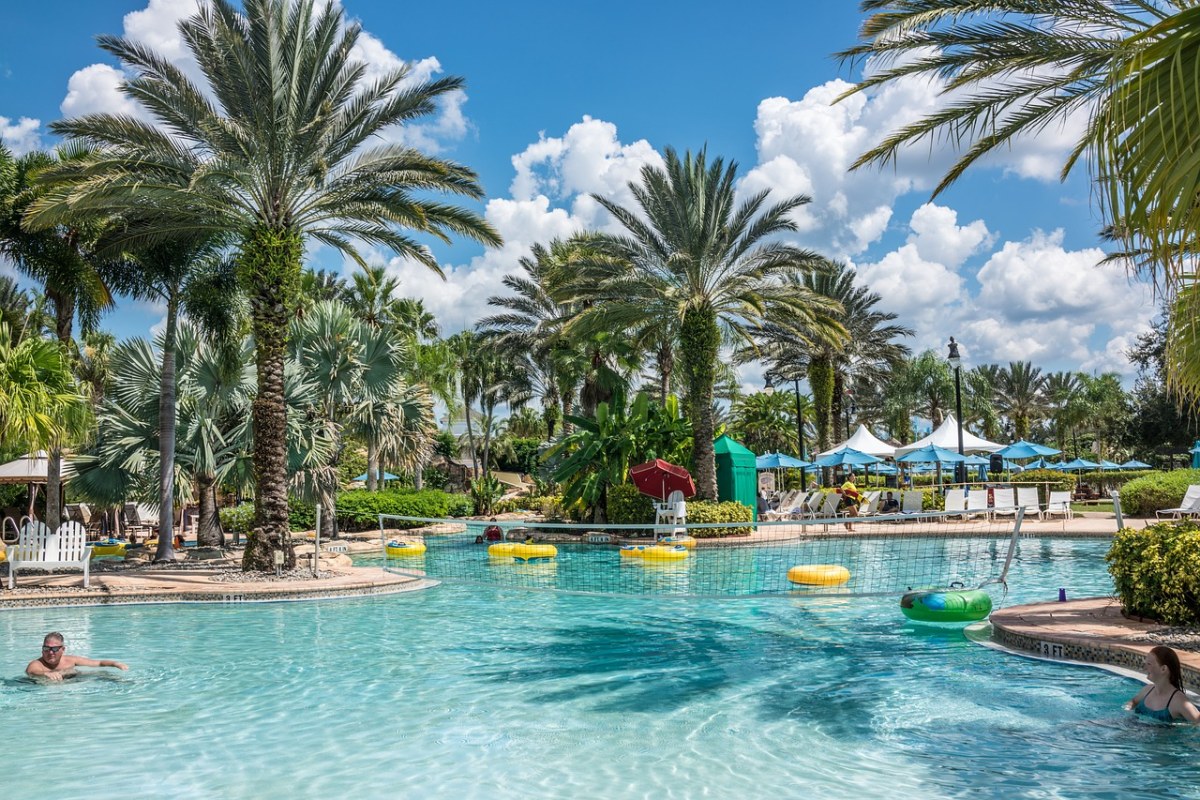 水上公园,佛罗里达,热带