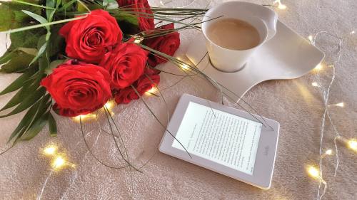 电子书、读者、玫瑰