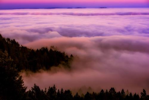 加利福尼亚州、日出、雾