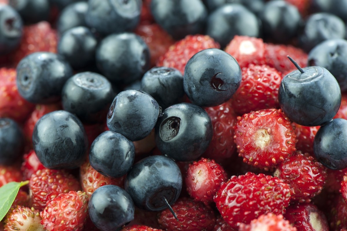 蓝莓、浆果、草莓免费图片