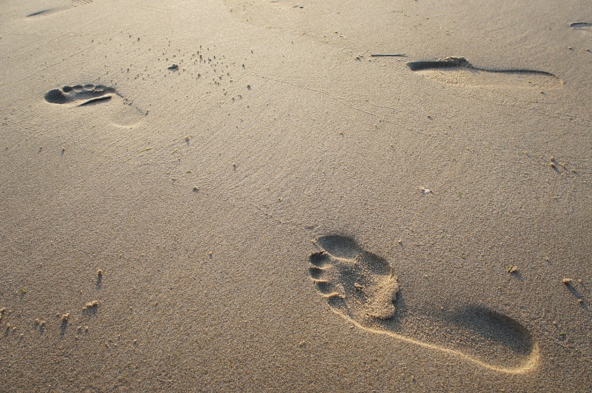 砂、海滩、脚免费图片