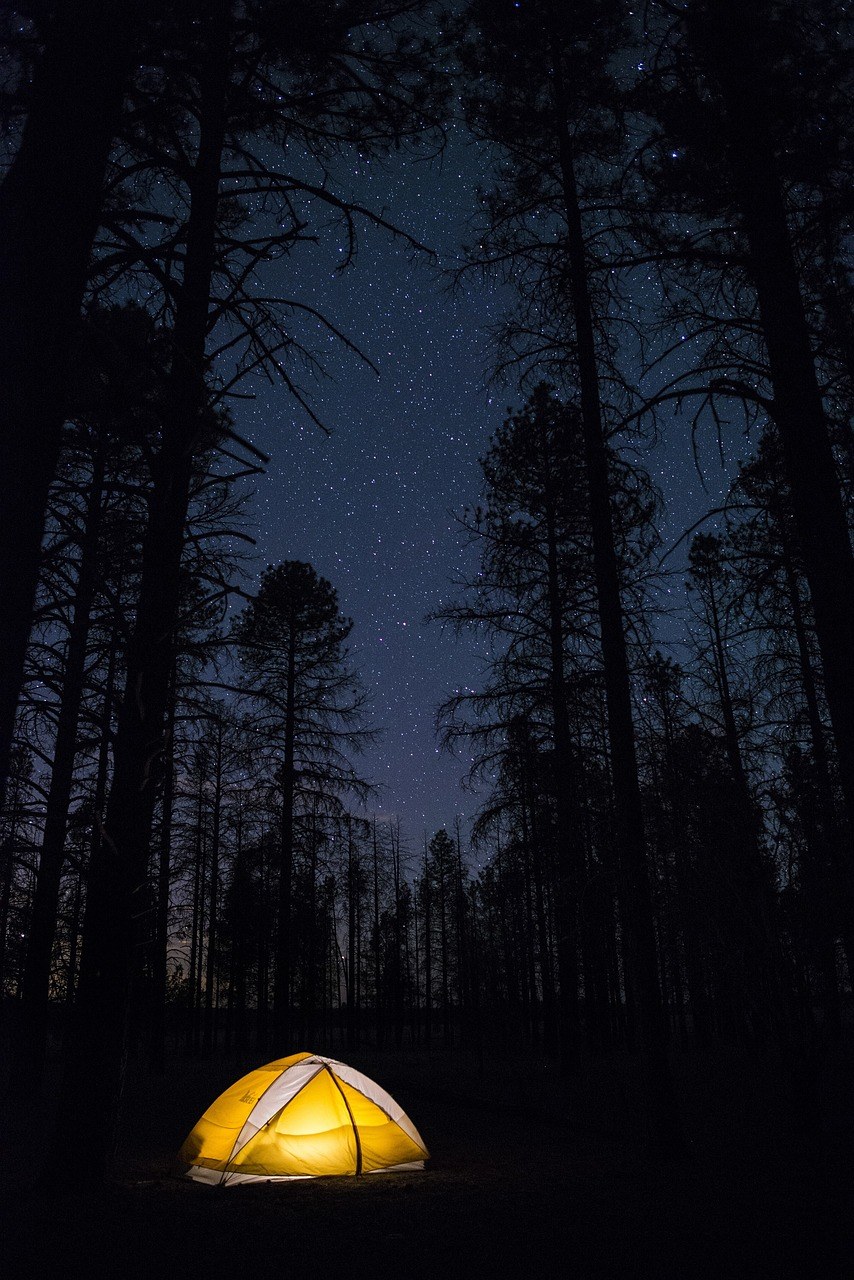 露营、夜、帐篷免费图片