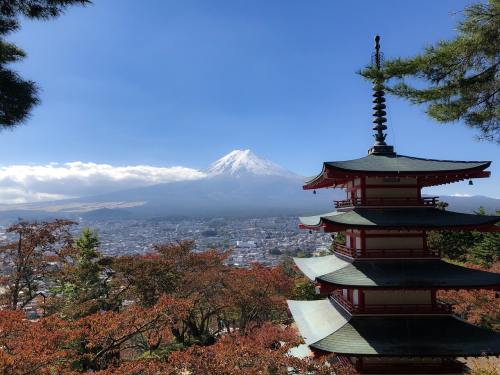 富士山、山、日本