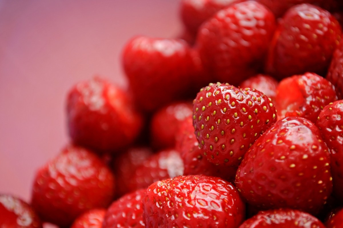 草莓免费图片