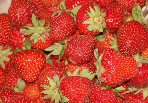 草莓、集合的、水果