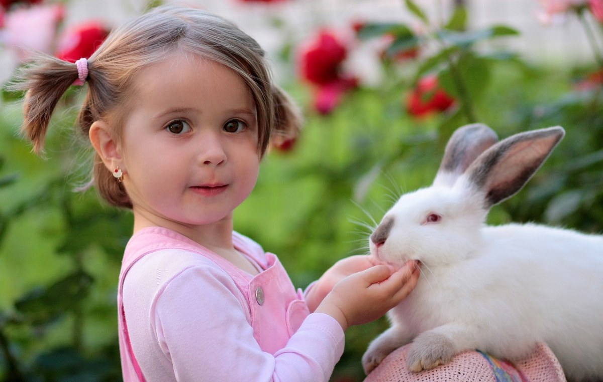 女孩、兔子、友谊免费图片