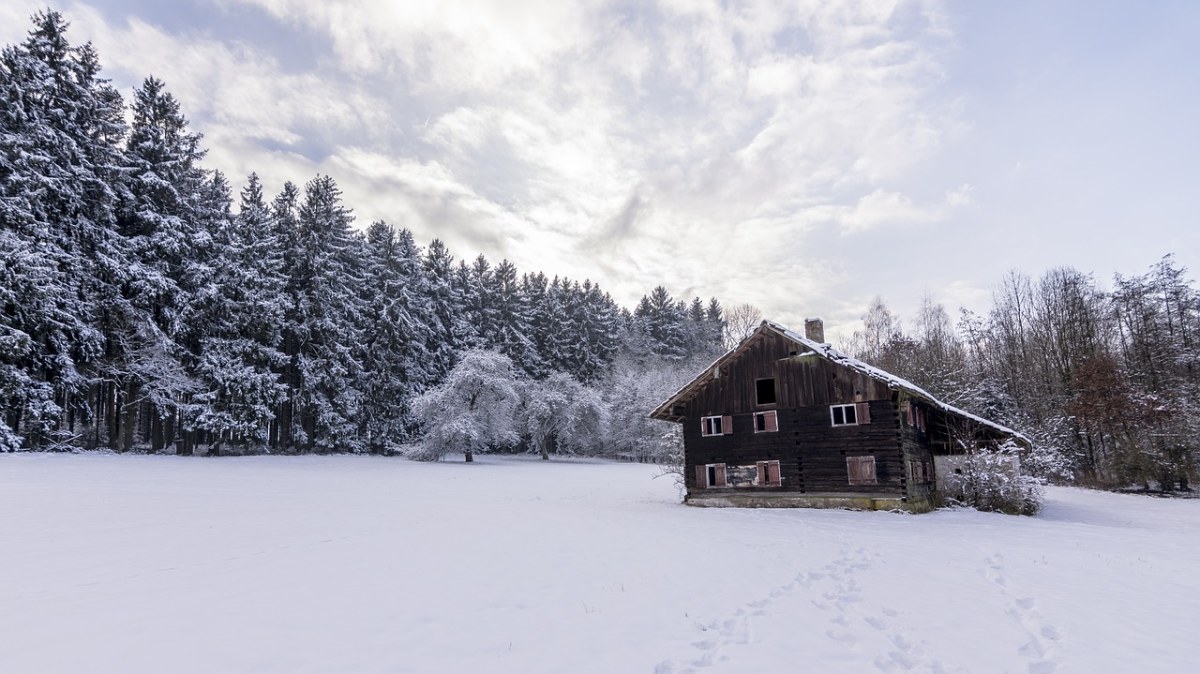 雪、冬天、冷免费图片