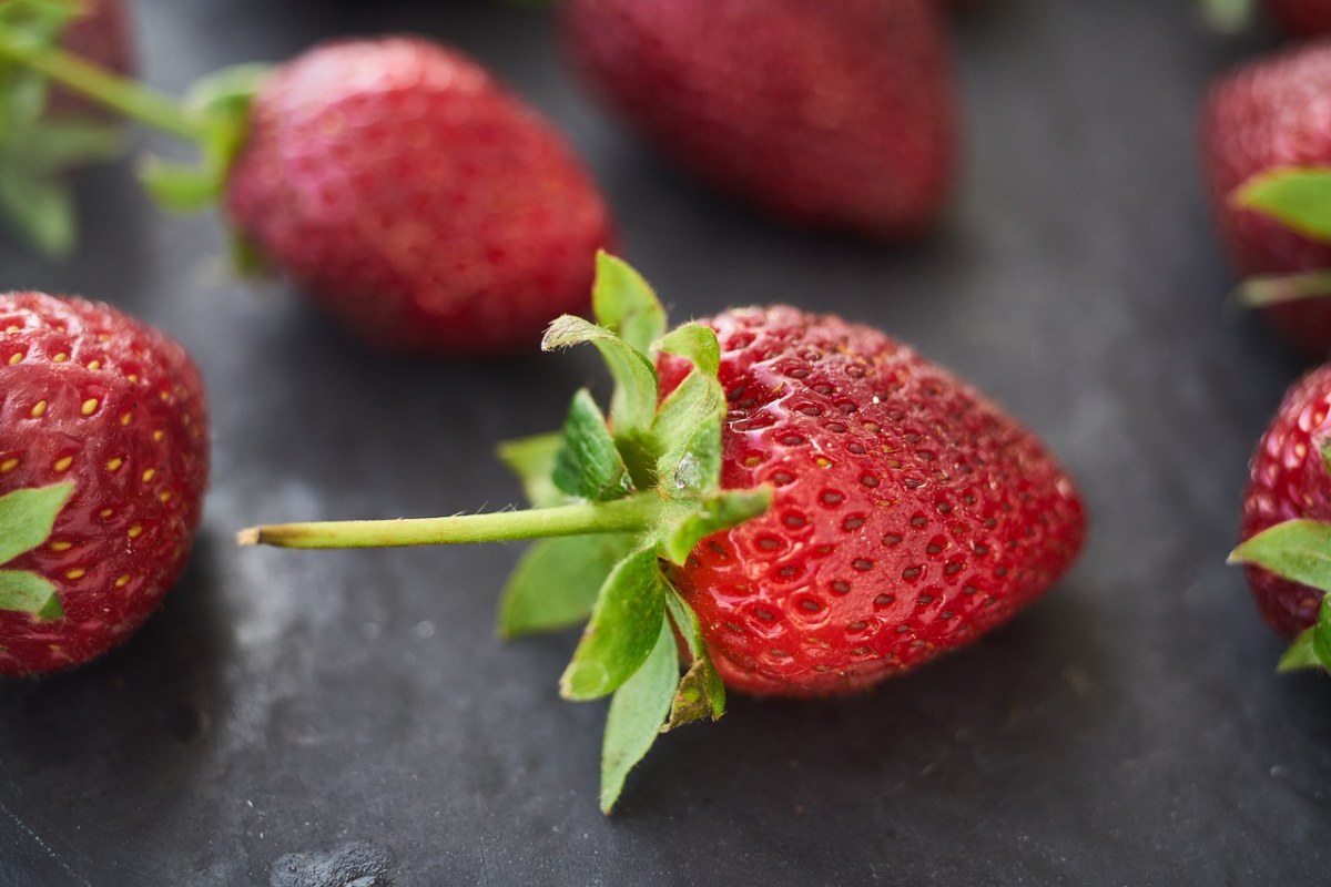 草莓、红色、宏免费图片