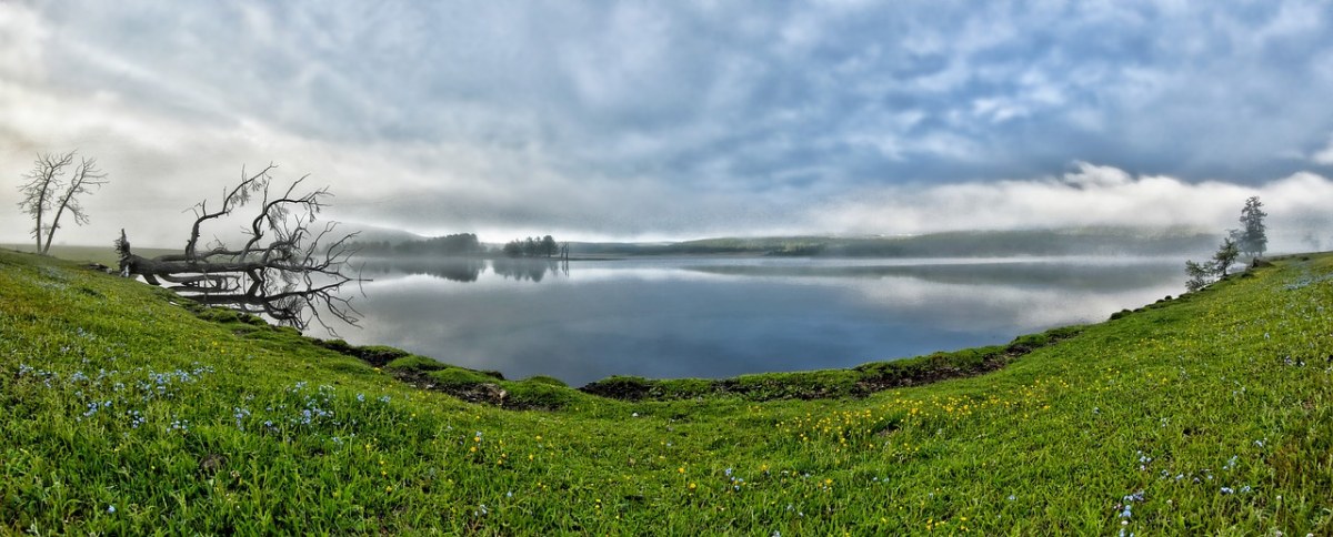 全景观、一个小湖、早晨雾免费图片