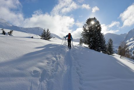 滑雪、冬天、太阳