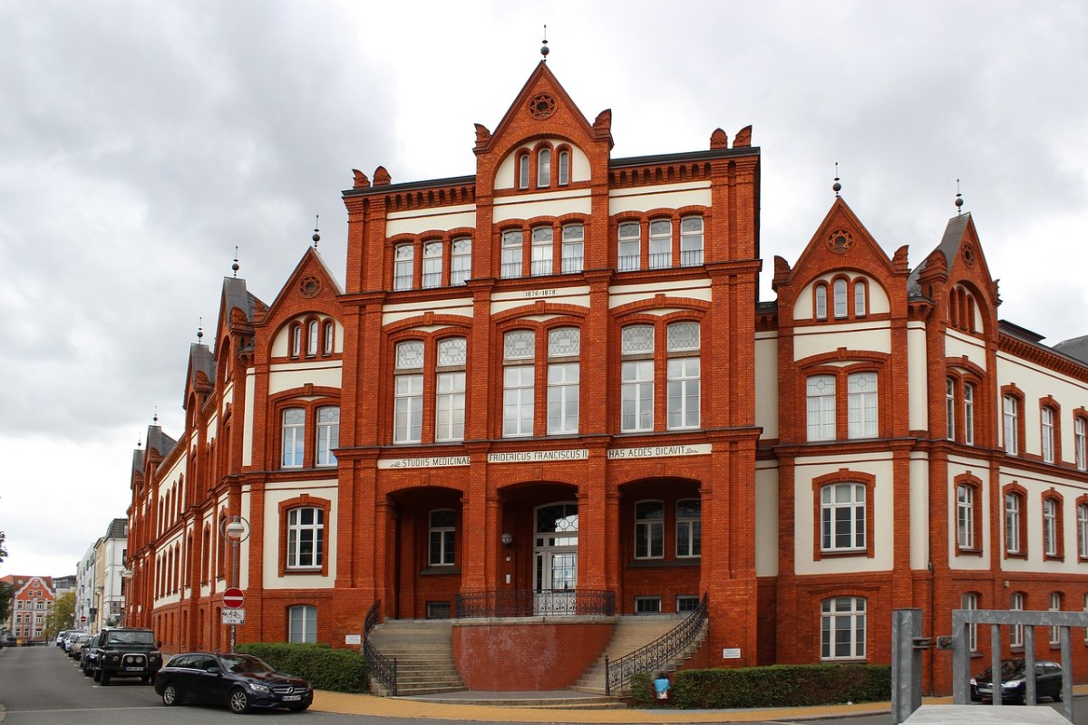 罗斯托克,大学,医疗