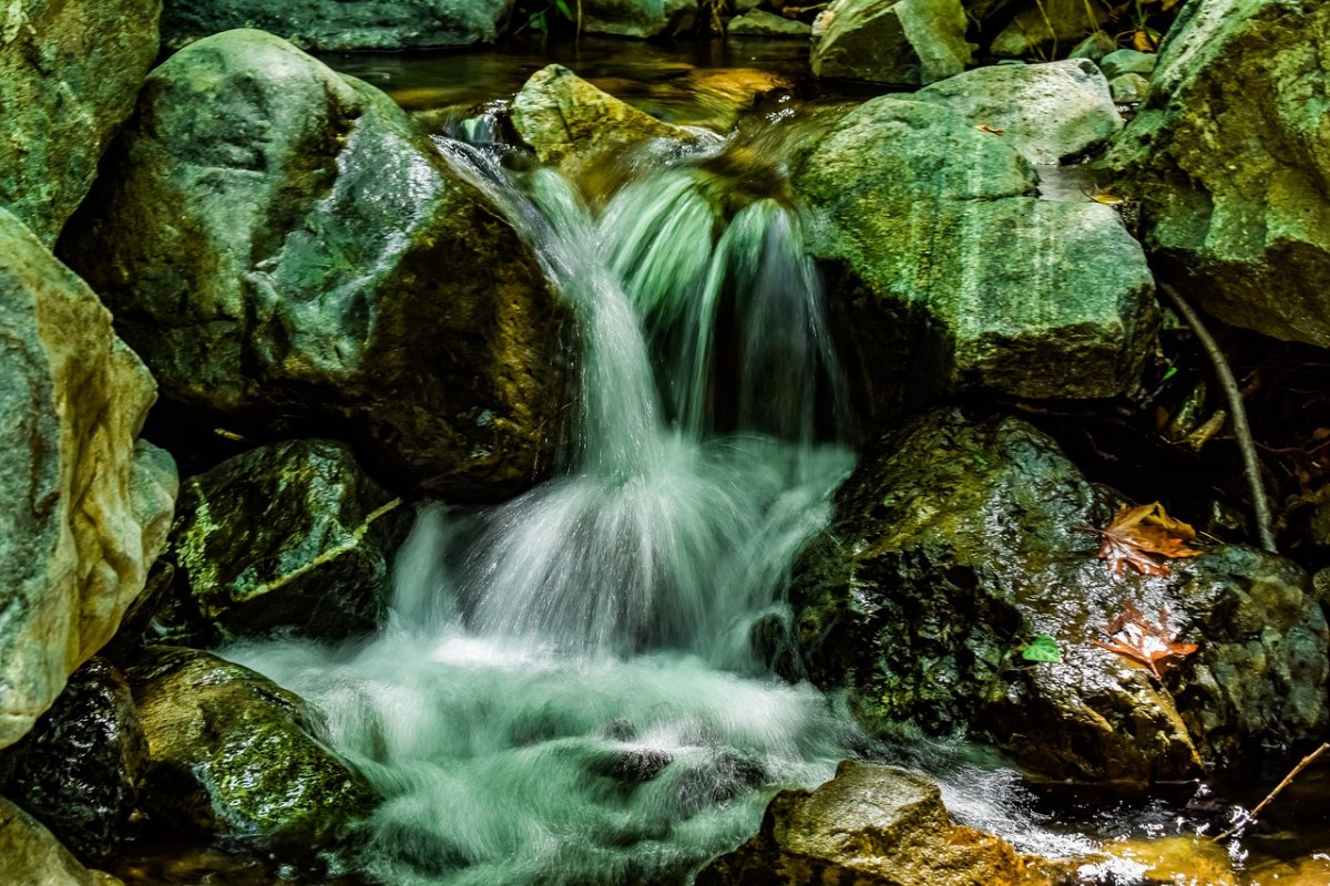 溪、水、自然免费图片