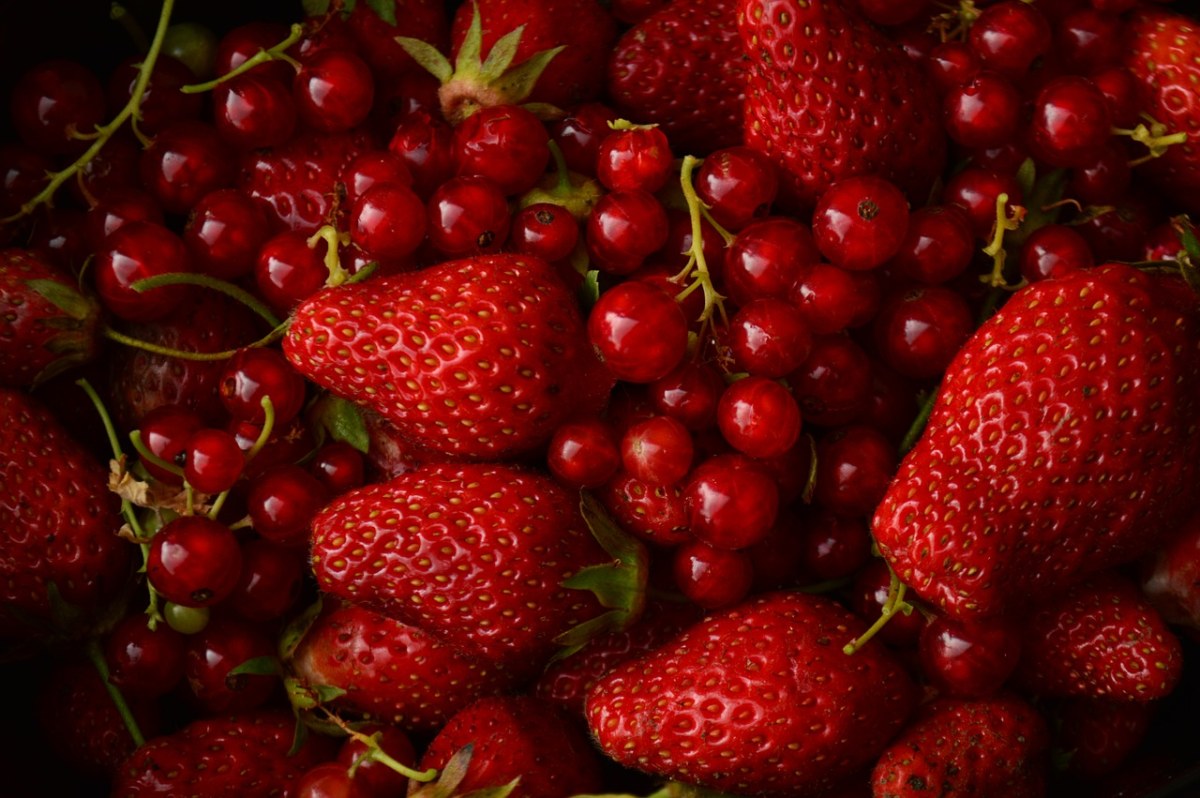红莓果、草莓、红莓免费图片
