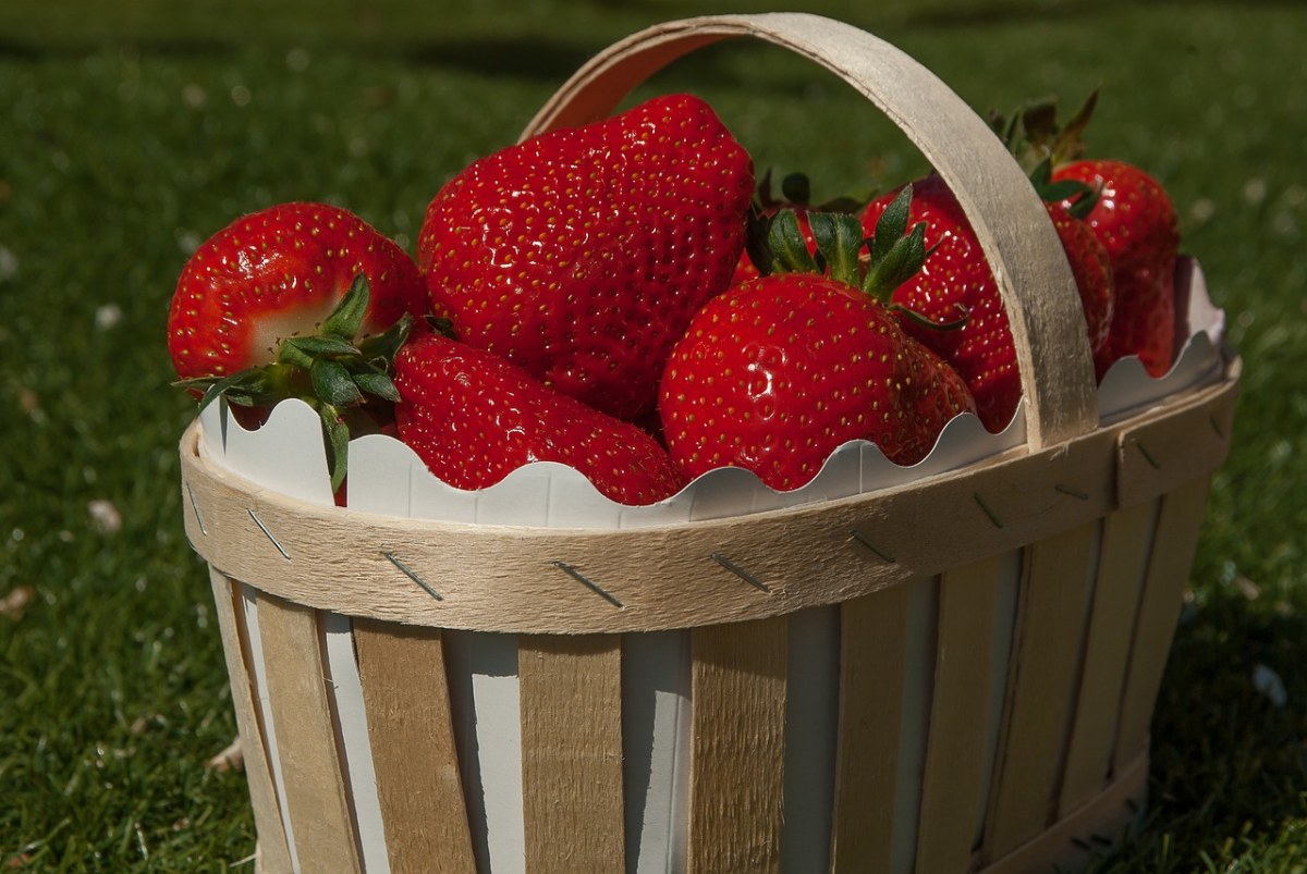 篮草莓、草莓免费图片