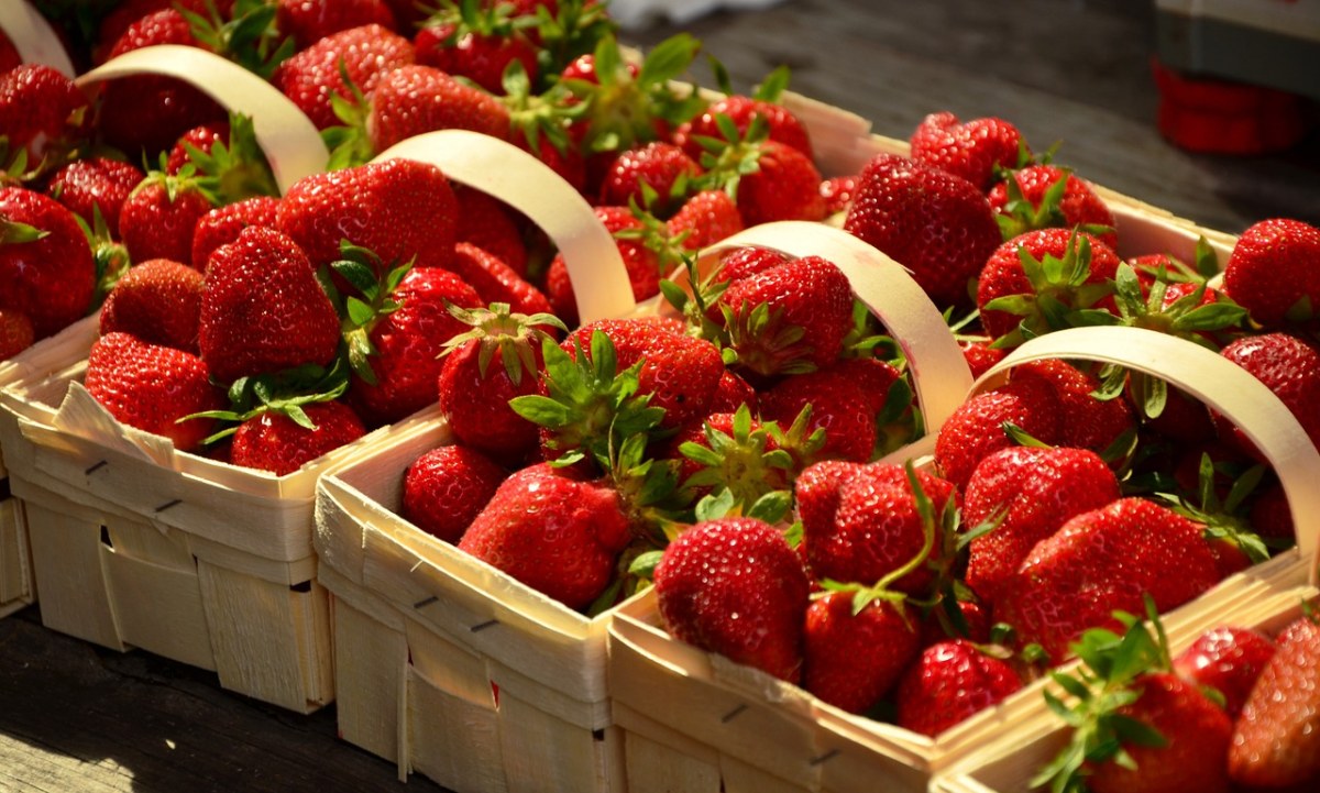 篮子里的草莓（草莓采摘季）免费图片