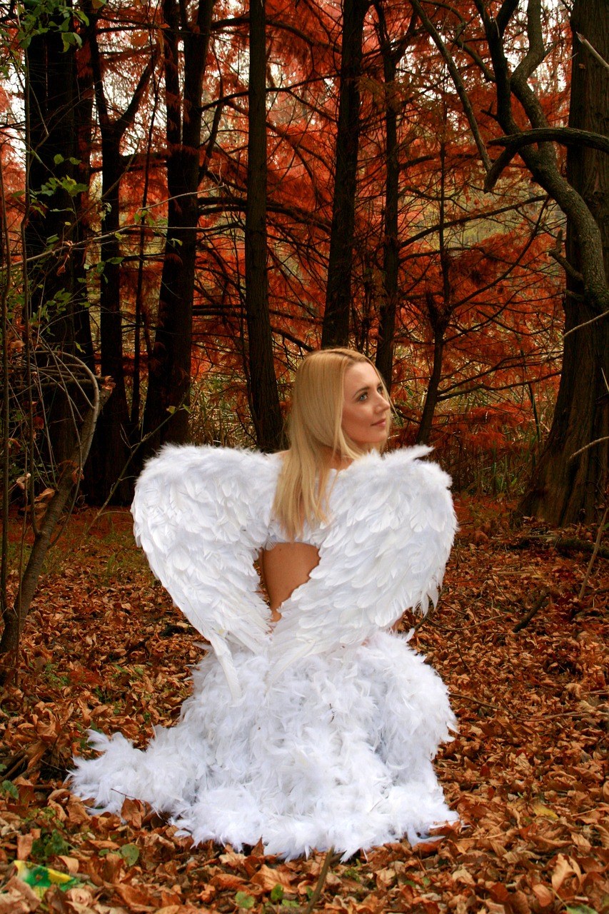 女孩、天使、秋天免费图片