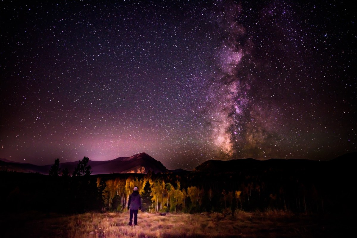 山、树、夜免费图片