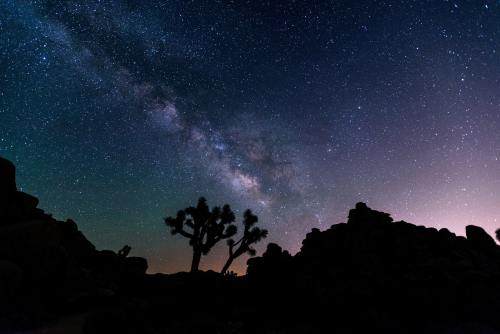 夜晚的天空、星星、沙漠