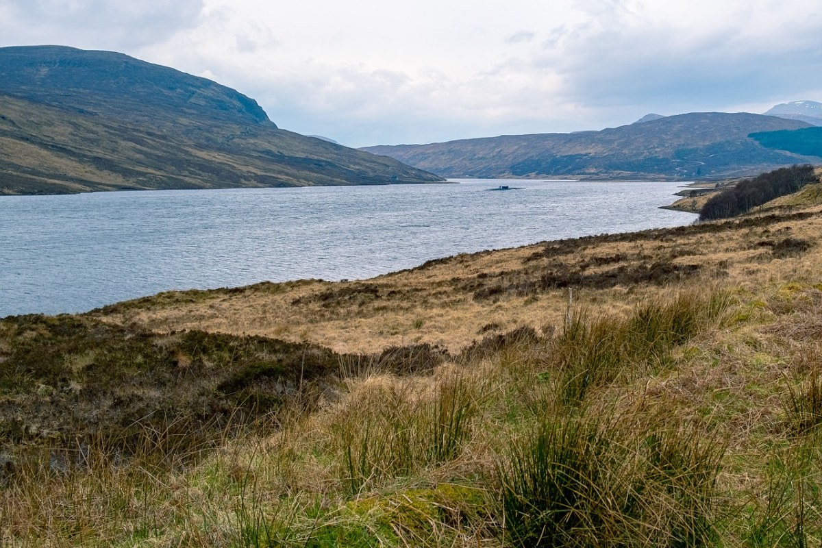 苏格兰、高地、湖免费图片