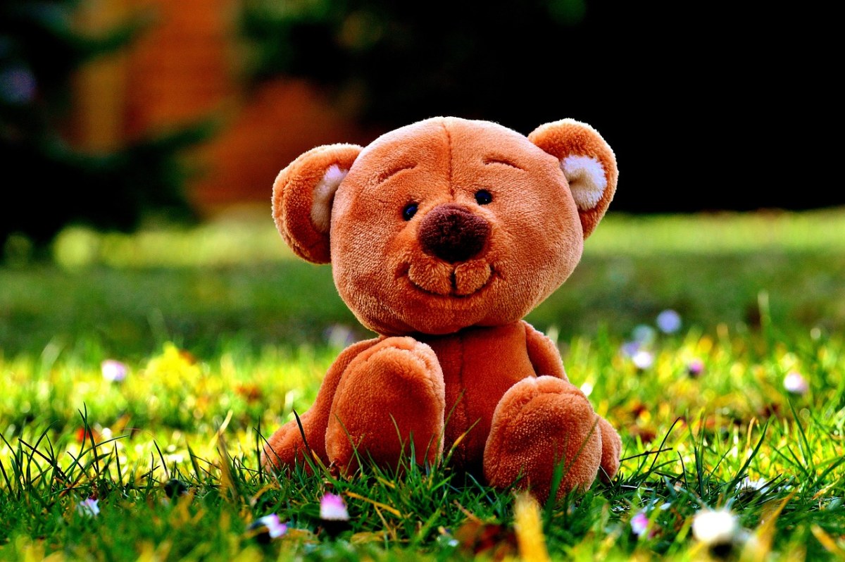 泰迪熊,草地,可爱