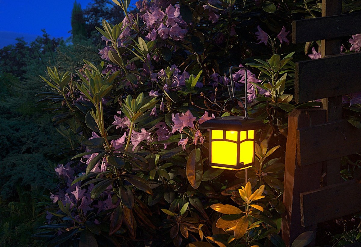花园、夜、灯笼免费图片