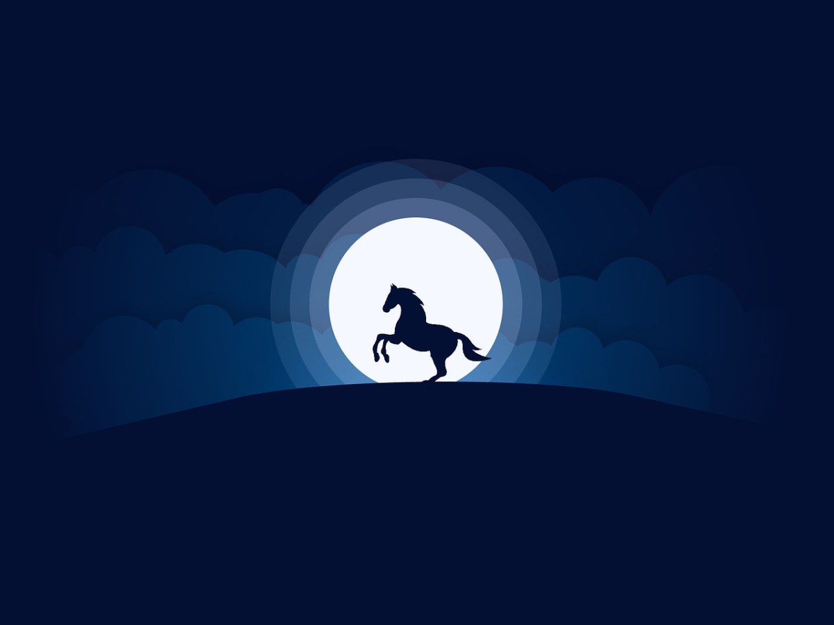 月亮、马、夜免费图片
