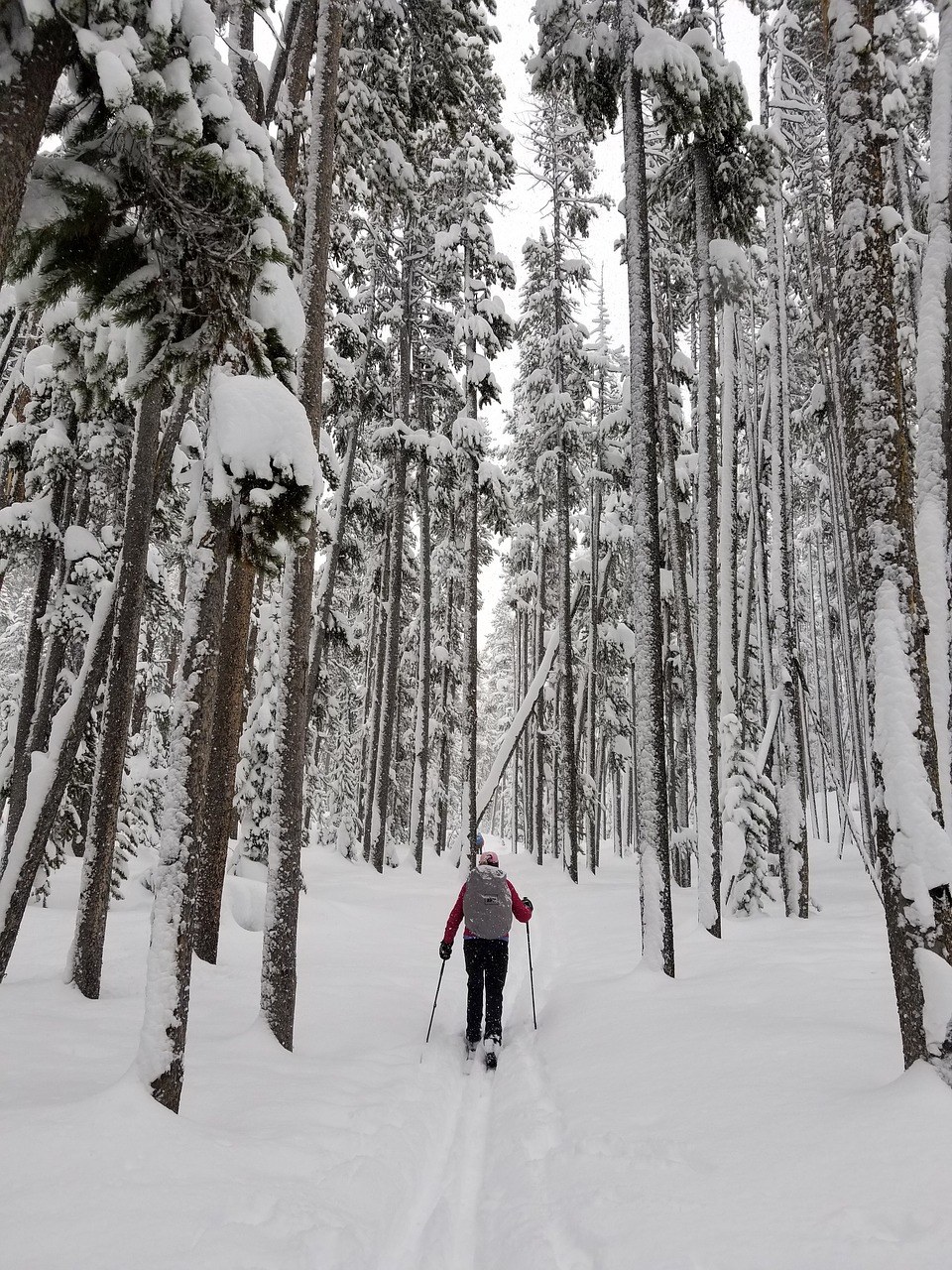 滑雪者、越野、冬天免费图片