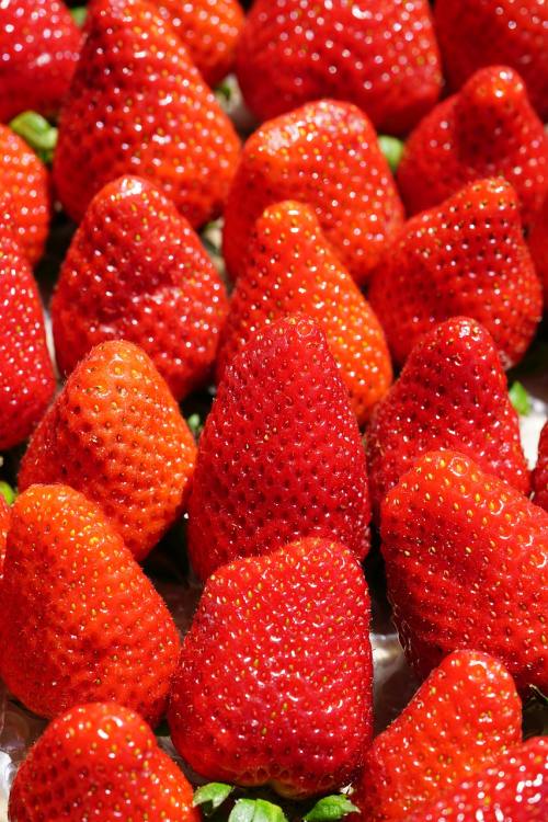 草莓、甜、红色
