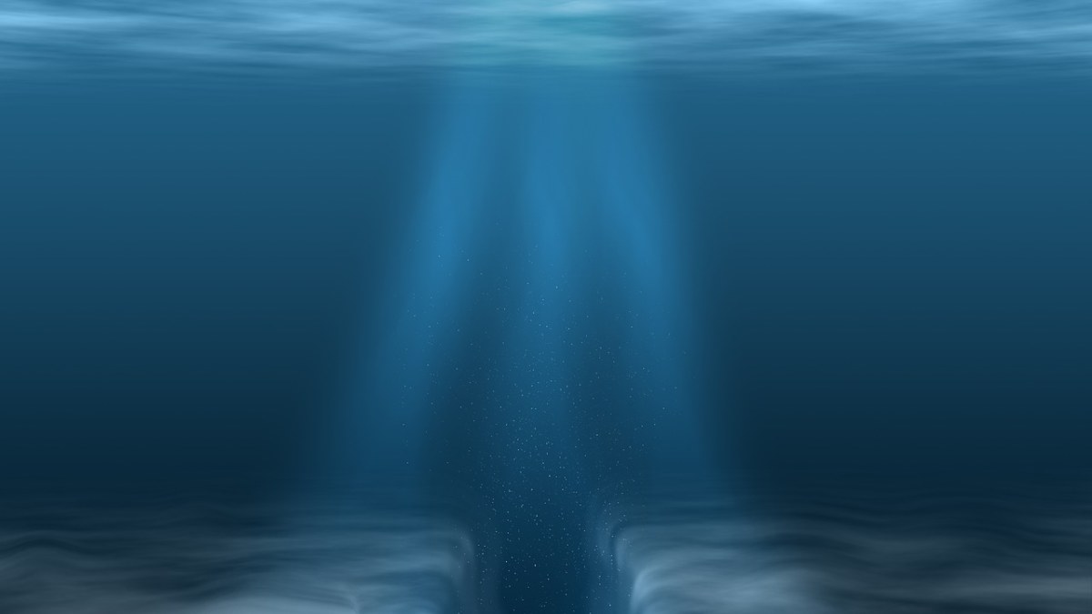 水下、海洋、浮游生物免费图片