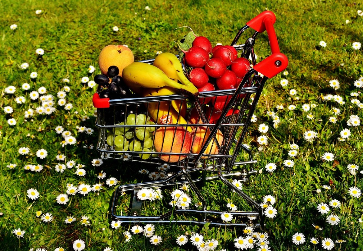 购物车、健康的购物、水果免费图片