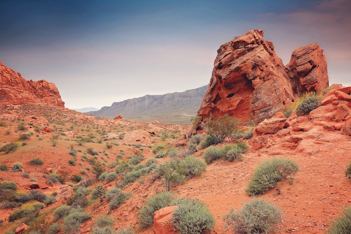 沙漠、砂岩、景观免费图片