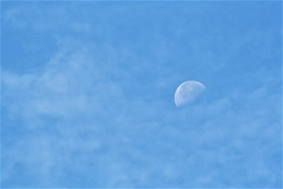 天空、月亮免费图片