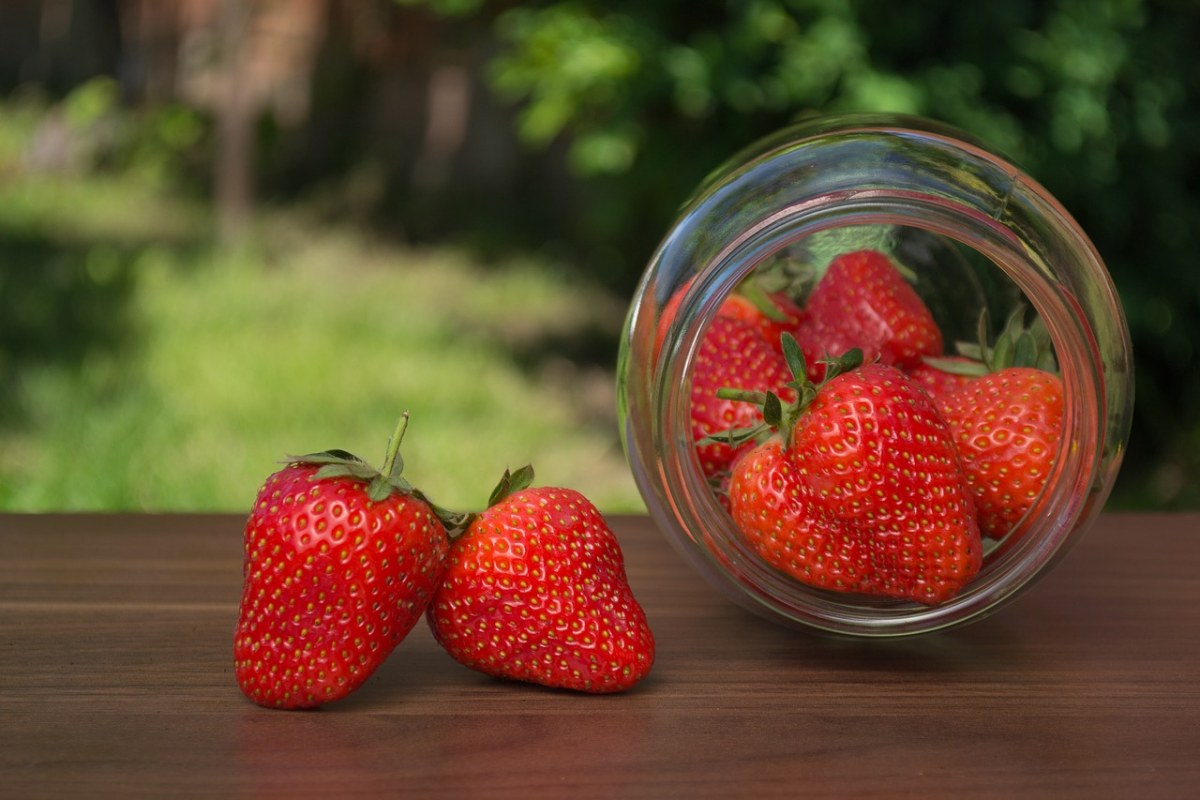 草莓、罐免费图片