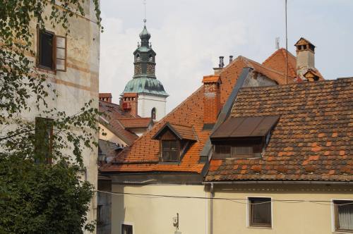 “狲尚香”因急性十二指肠溃疡穿孔去世，其“配偶”网红“狲思邈”和“女儿”也已先后病亡