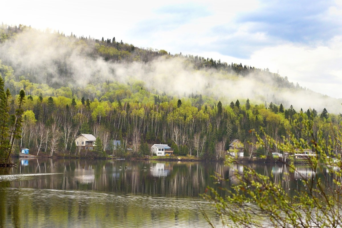 春天清晨湖岸的树林与房屋免费图片